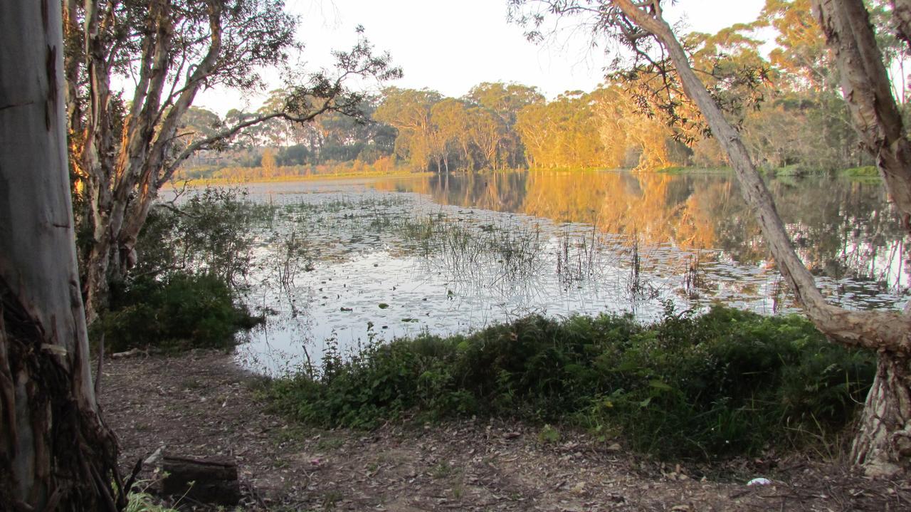 Lake Russell Retreat Emerald Beach Bagian luar foto